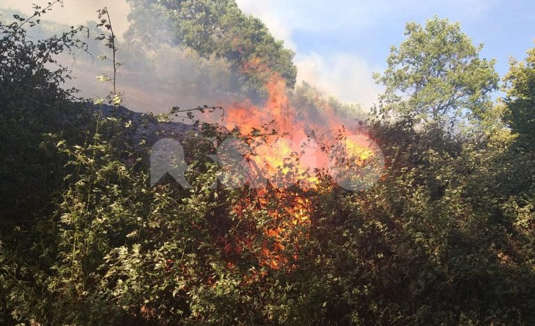 Incendio a Petrata, in fiamme anche il bosco: fuoco domato dopo ore di lavoro (foto+video)