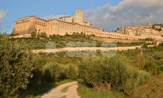 Nasce l'associazione Paesaggi rurali di interesse storico: c'è anche la fascia olivata Assisi-Spoleto