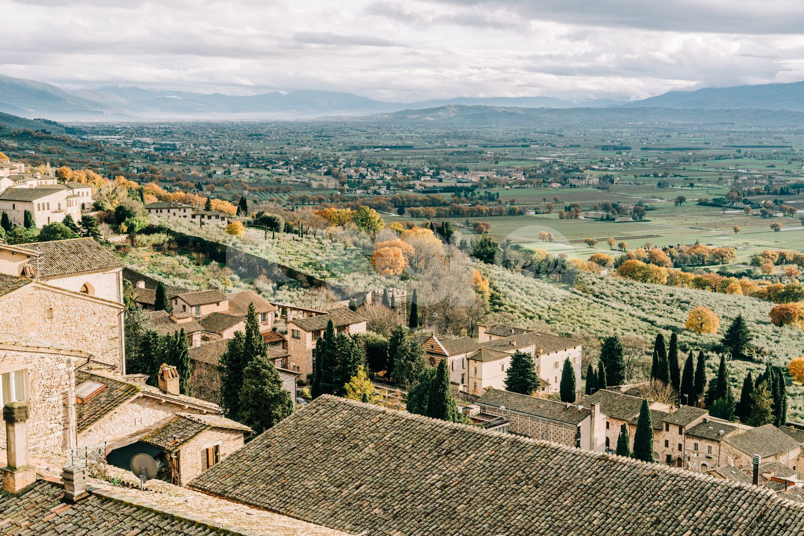 Lucio Cannelli: "L'opposizione c'è e lavora per il bene di Assisi"