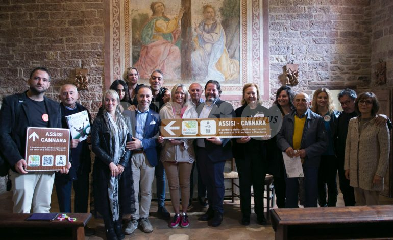 Dal Bosco di San Francesco a Piandarca: Assisi e Cannara unite da un sentiero nel nome del Poverello (foto+video)