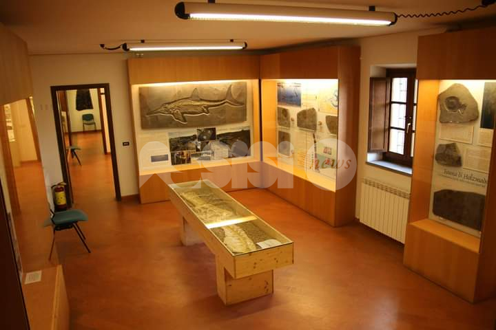 Museo paleontologico di Assisi a rischio: appello al sindaco per rinnovare la convenzione