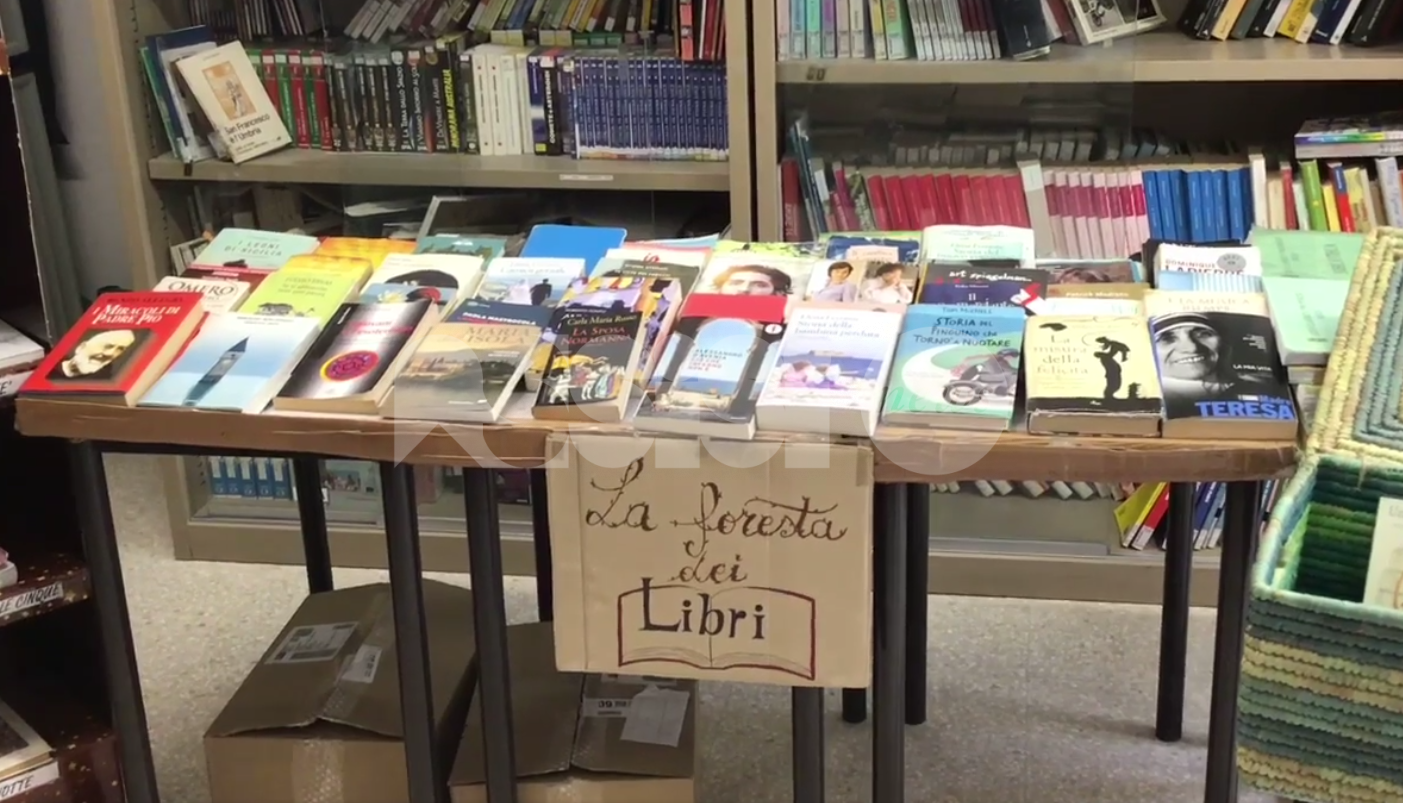 La Foresta dei libri, cresce e si amplia la biblioteca del liceo Properzio di Assisi