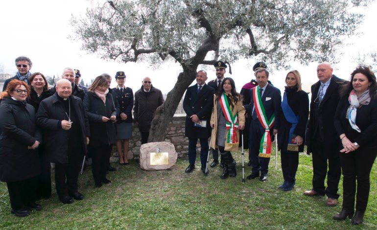 Giovanni Palatucci, nel Giardino dei Giusti di Assisi dedicato un ulivo al funzionario di polizia (foto+video)