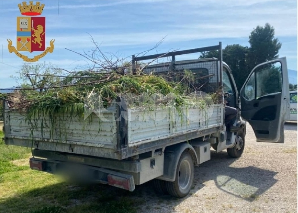 Scarica erbacce e ramaglie in una proprietà privata: sanzionato 48enne a Bastia